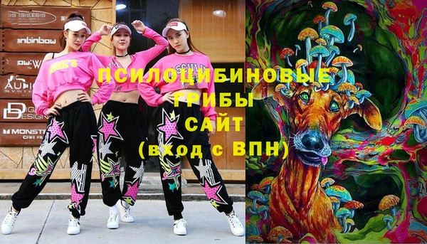стафф Бежецк