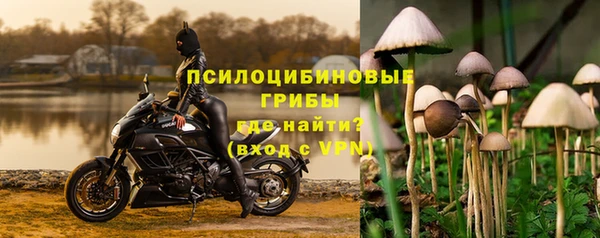 стаф Бикин