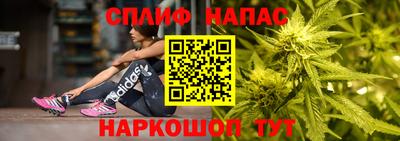 индика Балахна