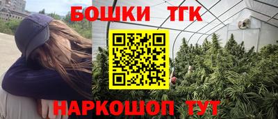 индика Балахна
