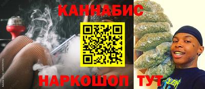 индика Балахна