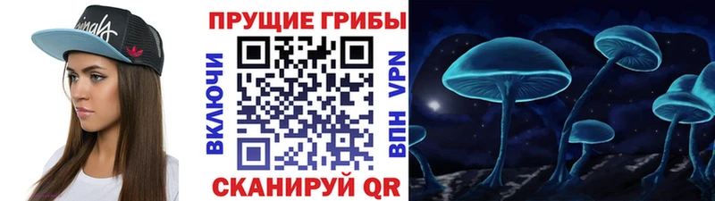 сколько стоит  Богородск  Галлюциногенные грибы Psilocybine cubensis 