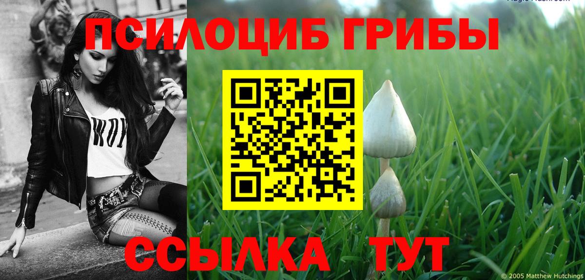Псилоцибиновые грибы прущие грибы  Вход с VPN  Богородск 