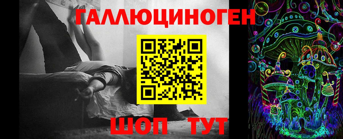 Псилоцибиновые грибы Cubensis Богородск